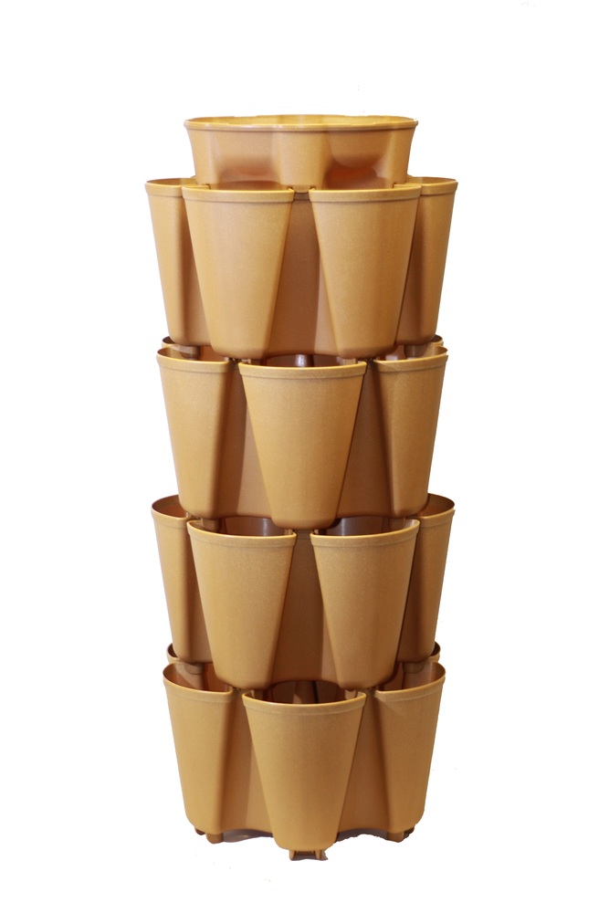 Mapel 4-Tiers