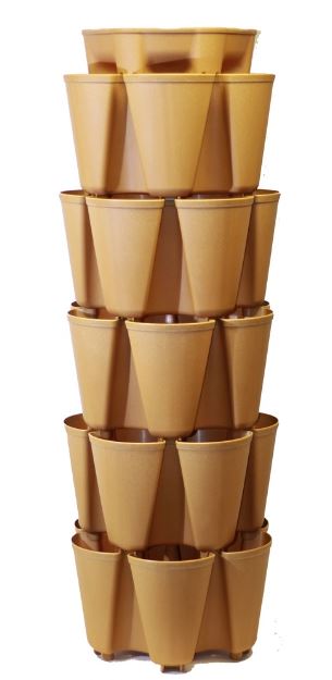 Mapel 5 Tiers