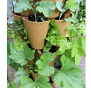 Test_7317